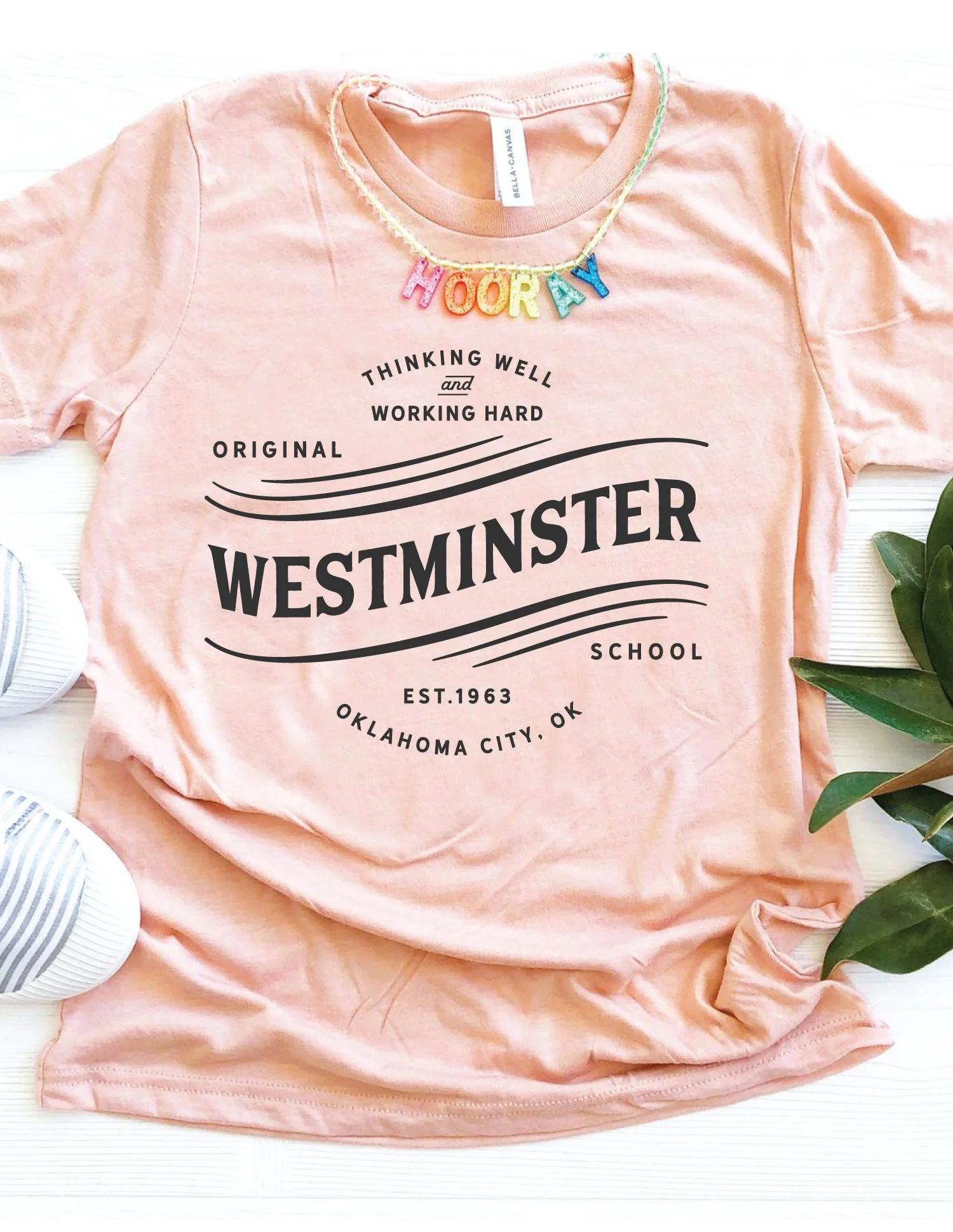 new-student-shirt-idea-2019.jpg