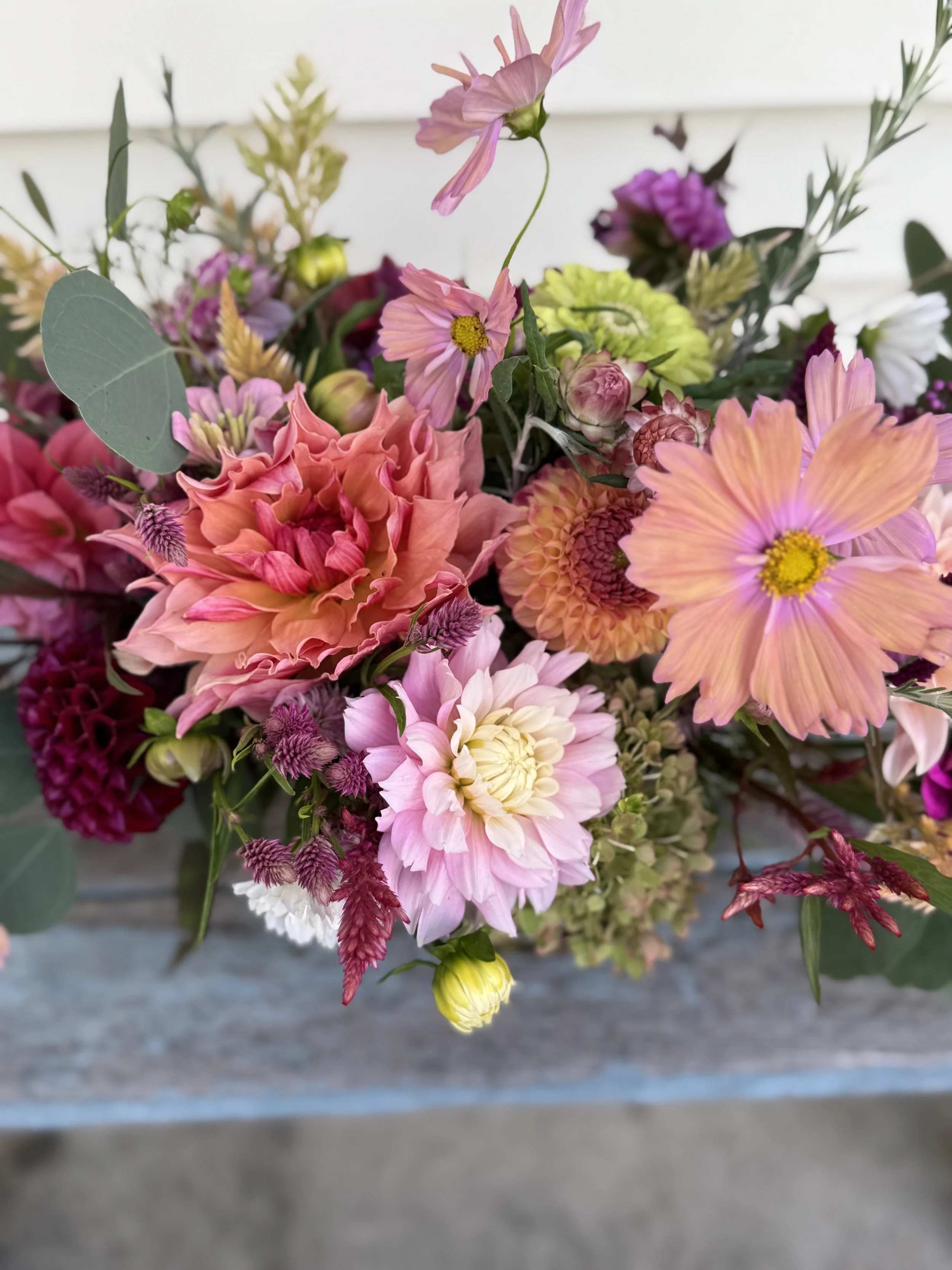 VHFC late summer 2105.jpeg