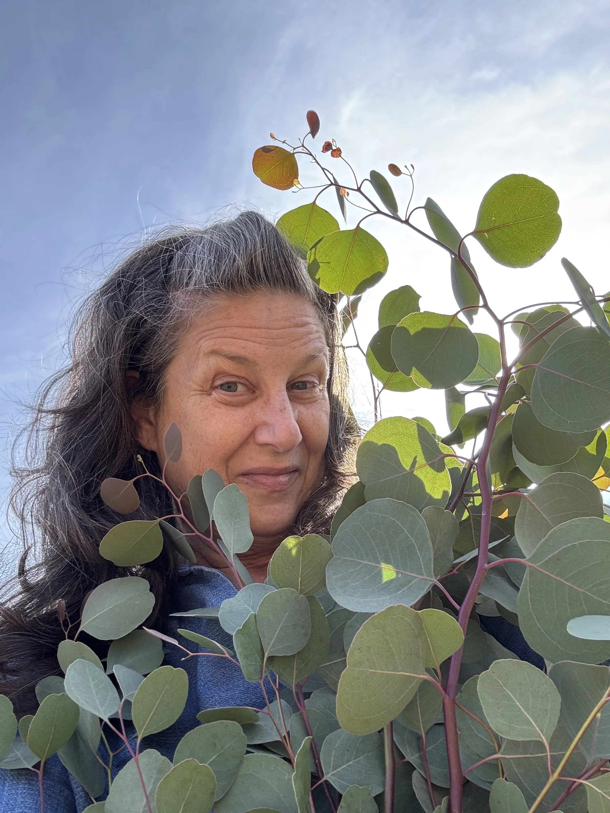 VHFC DH with eucalyptus 2302.jpeg