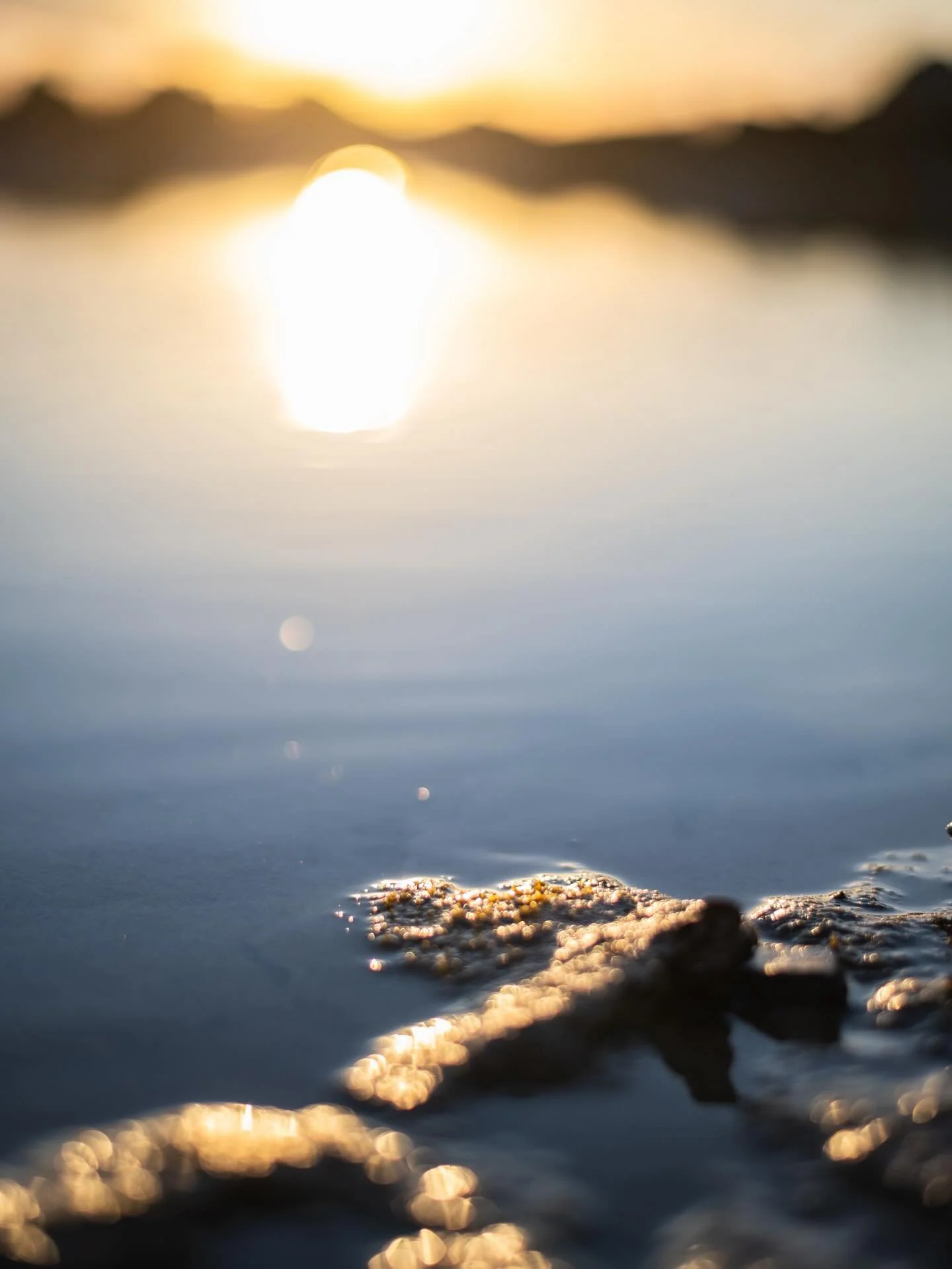 Some new favourites of mine from my weekend trip to Falassarna.

Am slowly putting together a portfolio of fine art photography of Crete, currently testing printers and framers. Watch this space! 

#cretephotography #fineartphotography #cretenature #