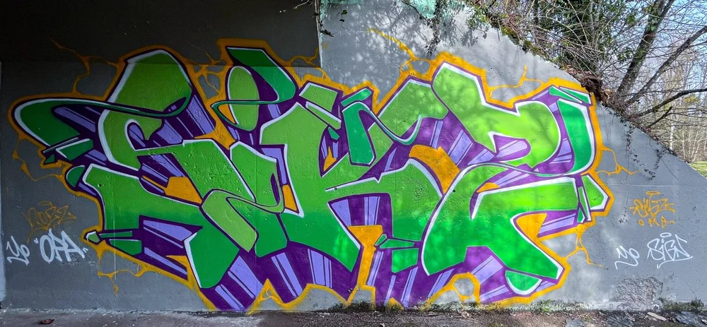 Nathan Dubois — masque et appareil