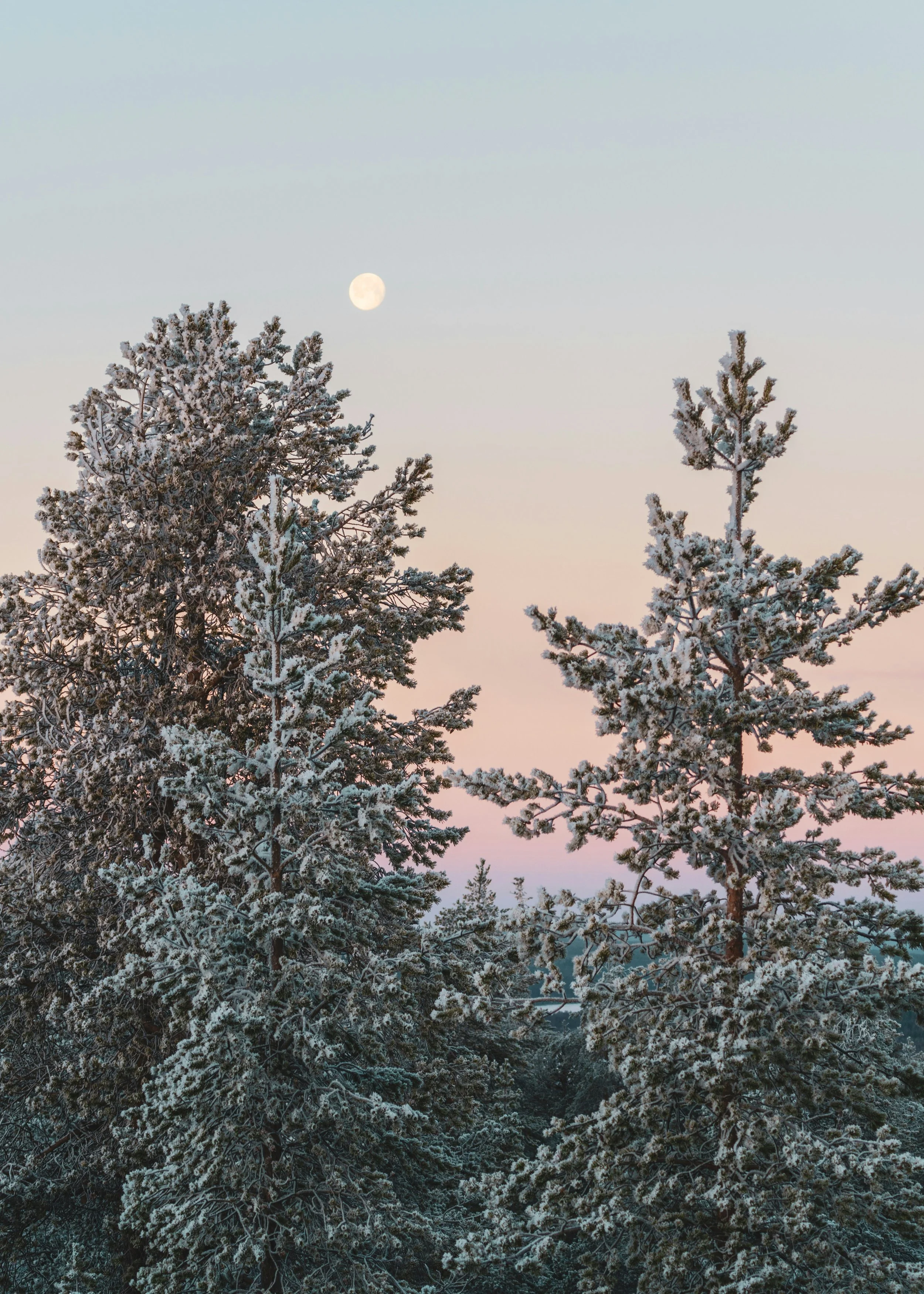 Frauenkreis: Ankommen