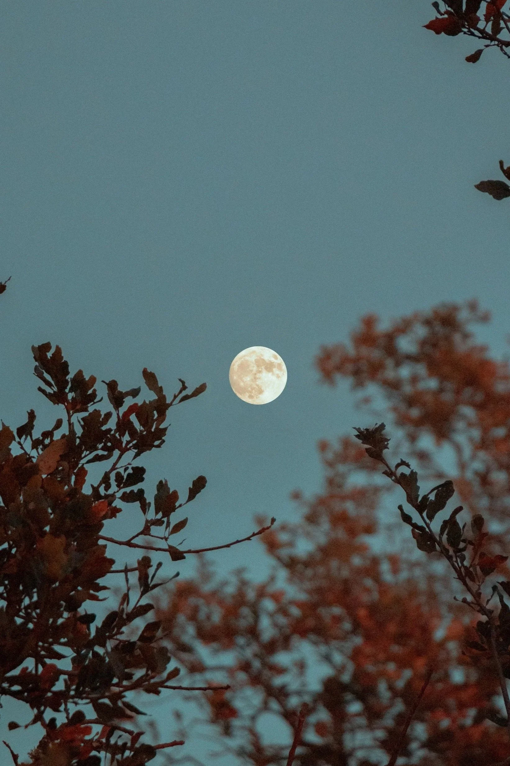 Frauenkreis: Mut zum Ausdruck – statt dich kleiner zu machen