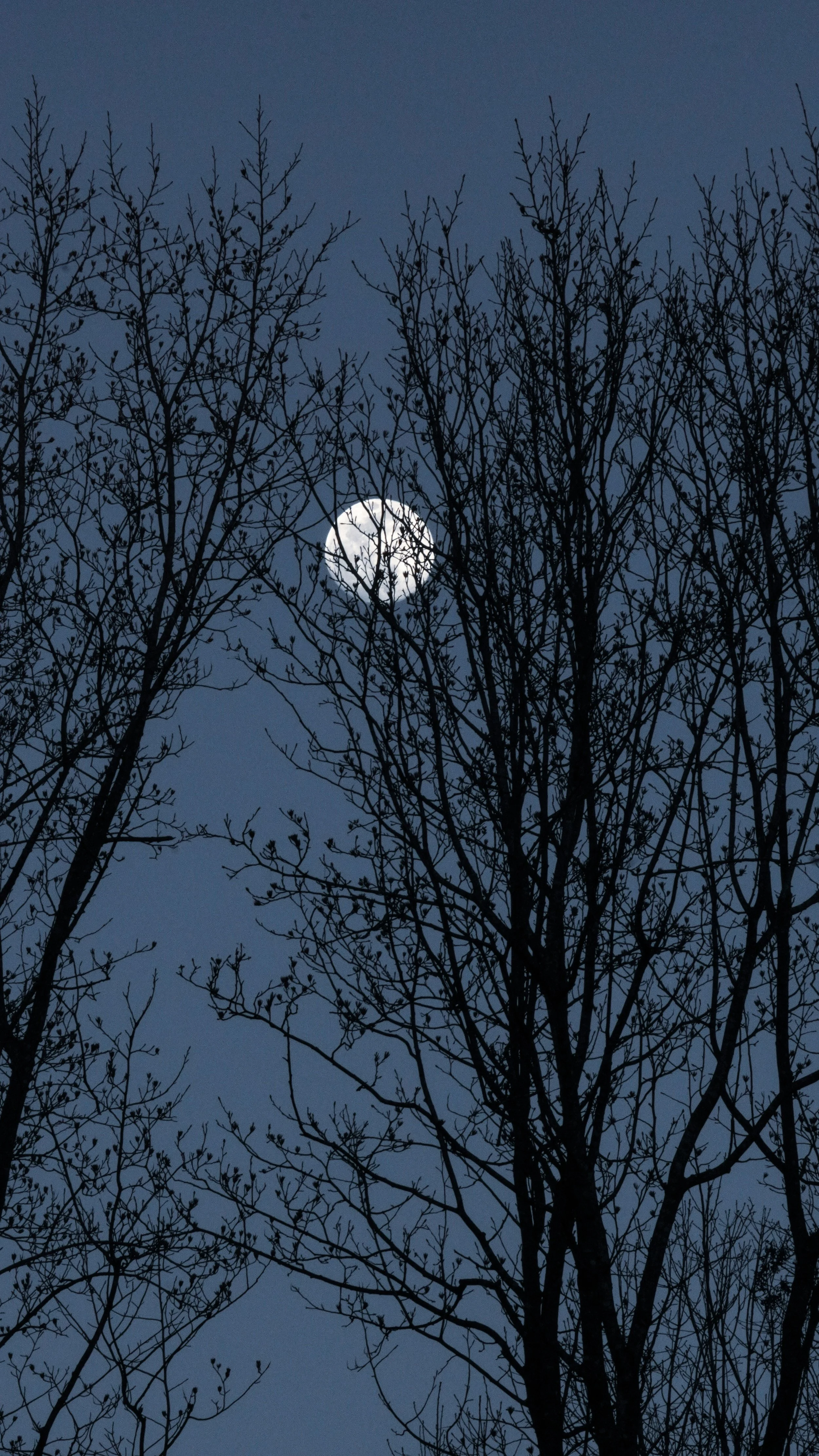 Frauenkreis: Verbindung ohne dich zu verlieren - dein inneres Team