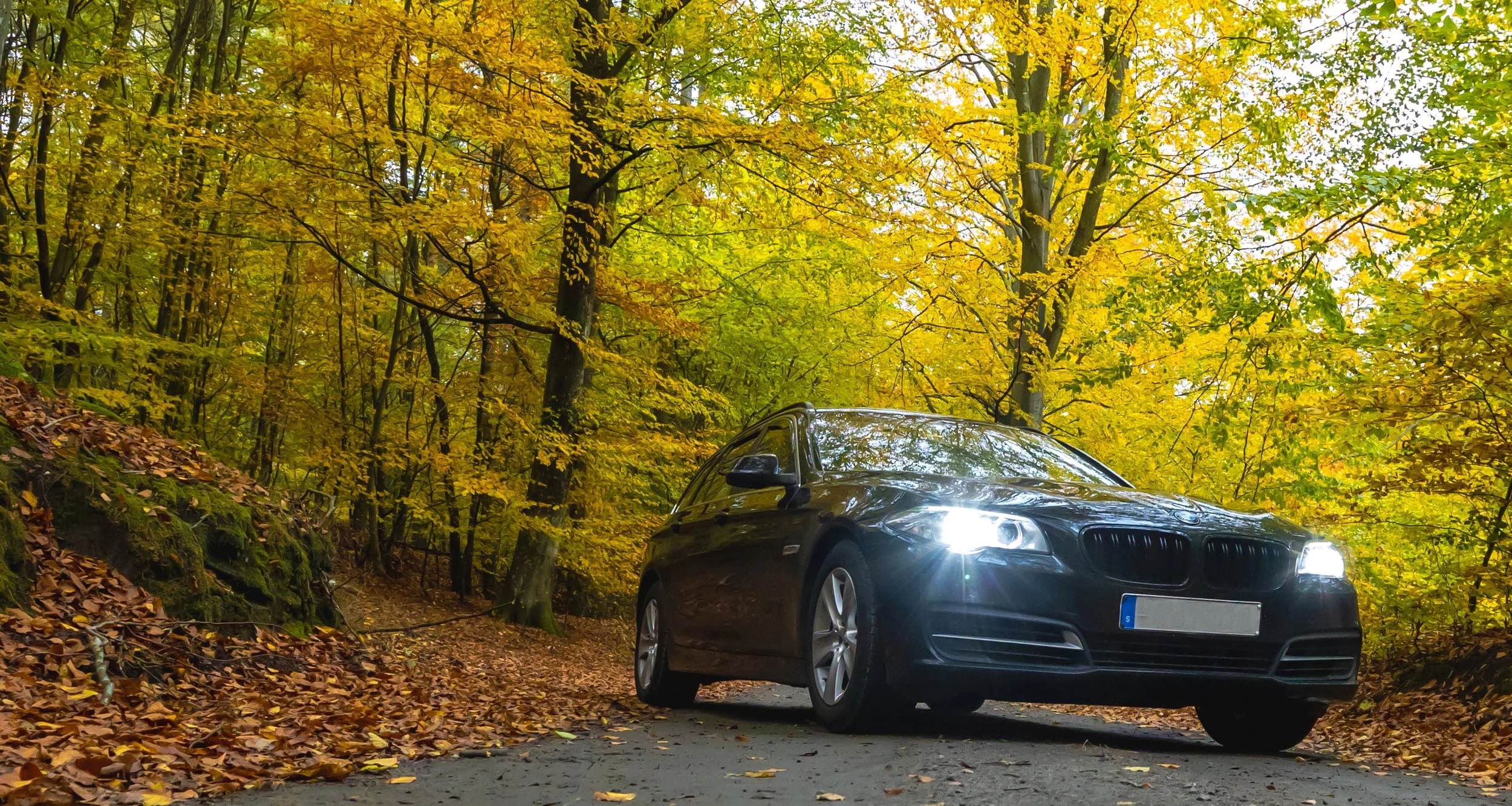 Svart BMW fotograferad på skogsväg i höstmiljö, professionell bilfotografering av Jeanette Lindeskog i Skåne