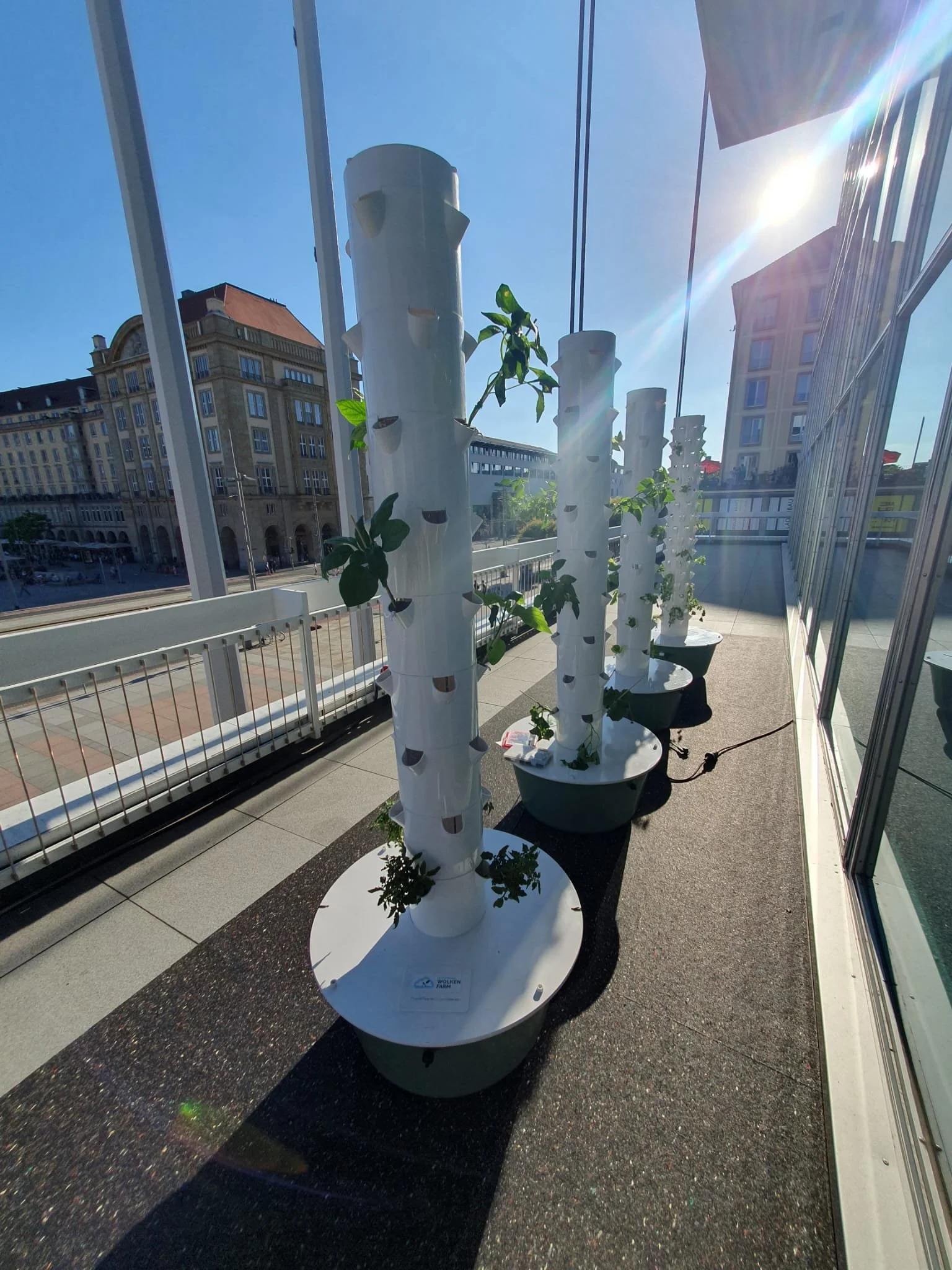 WhatsApp Image 2025-06-28 at 21.45.19.jpeg