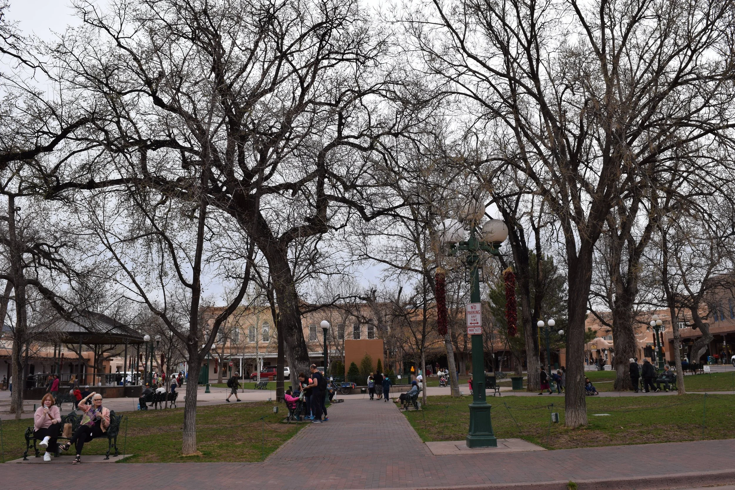 DSC_0192.JPG