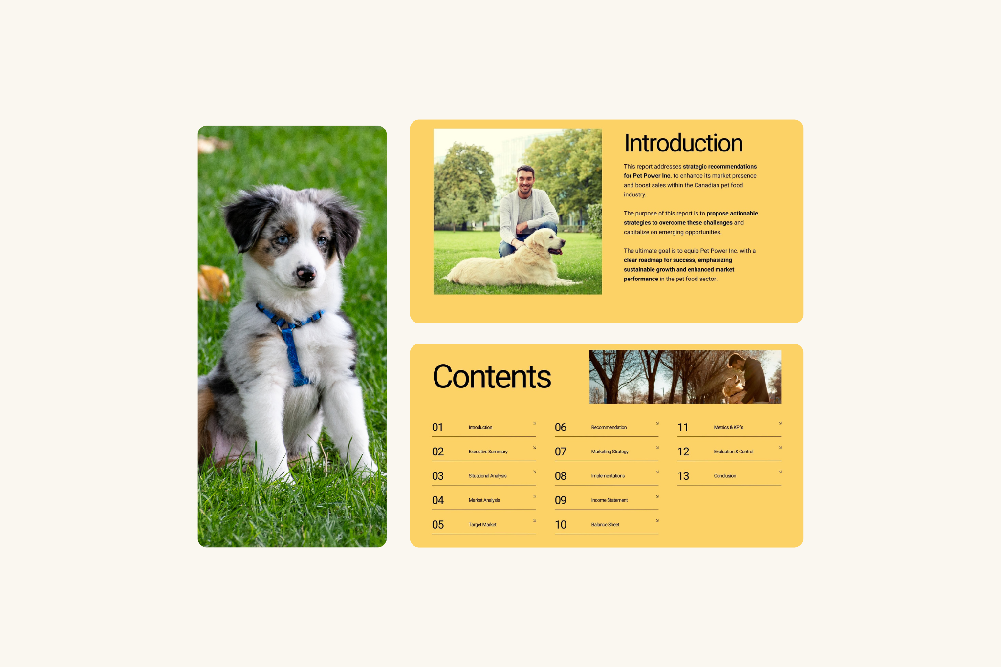 PetPower Marketing Plan