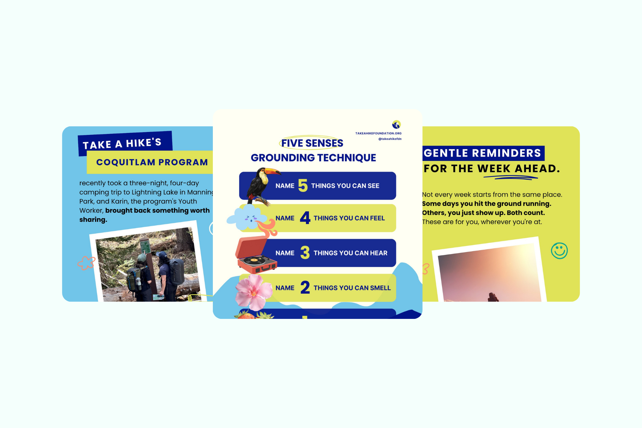 Social Media Carousels & Graphics