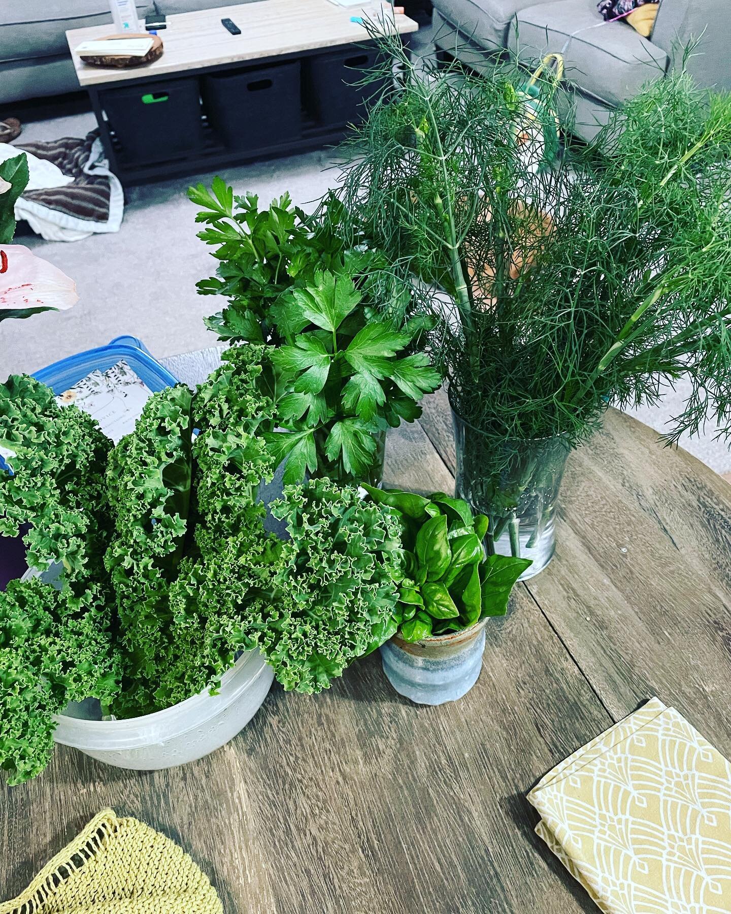 G A R D E N bounty was tremendous tonight! Despite a late spring and weird June storms, my garden is thriving! #gardenboise #workwithmyhands #herbgarden