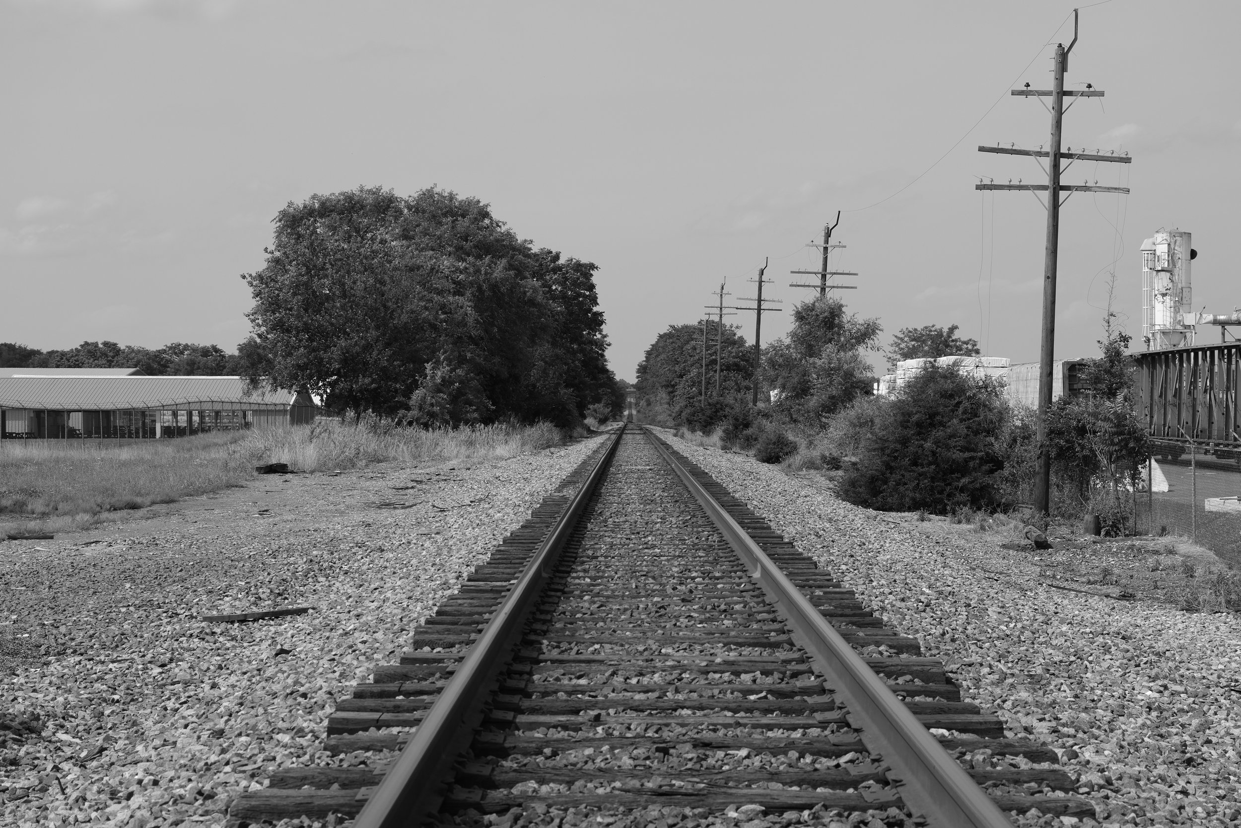 DSCF0005.JPG