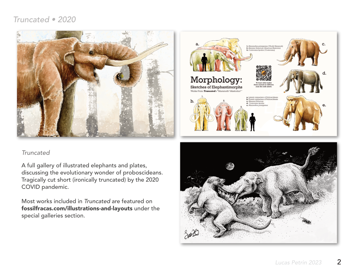 2023 Standard Portfolio Page_3.png