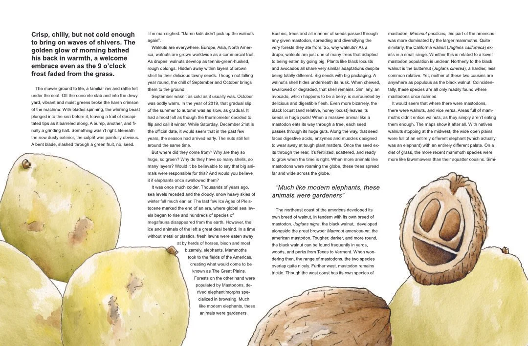 [Publications][Editorial][EastCoastElephants]_3.jpg