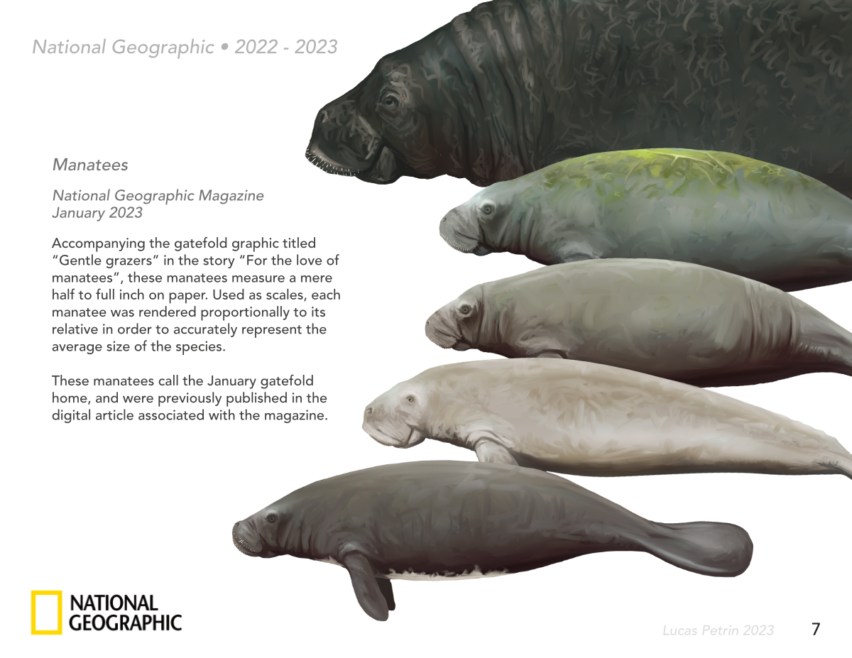 2023 Standard Portfolio Page_8.png