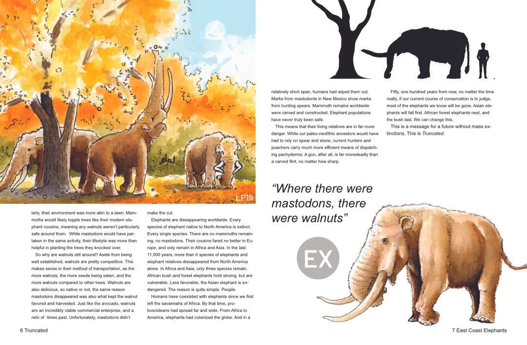 [Publications][Editorial][EastCoastElephants]_4.jpg