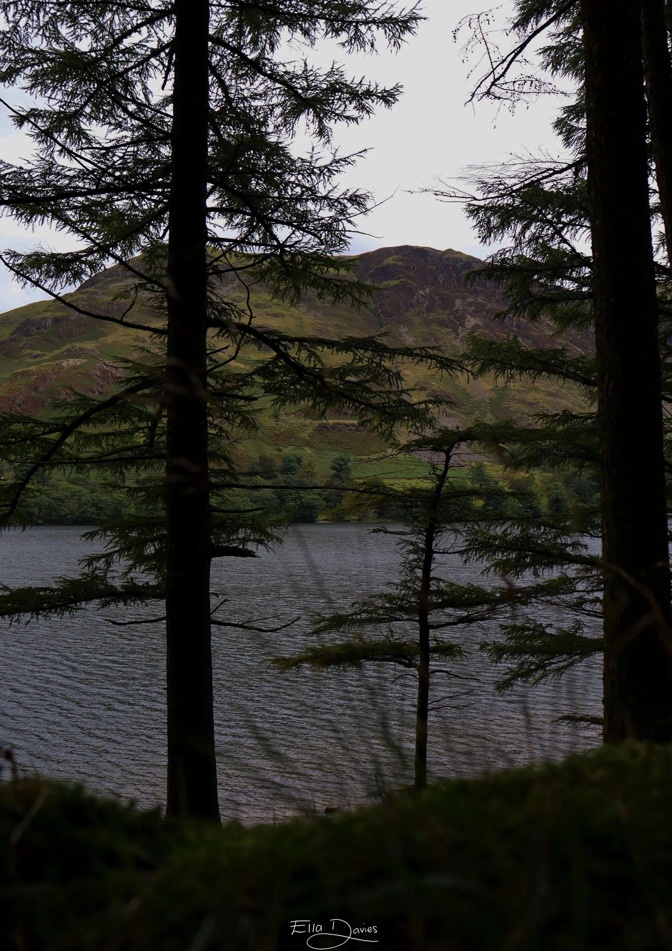 The Lonely Mountain