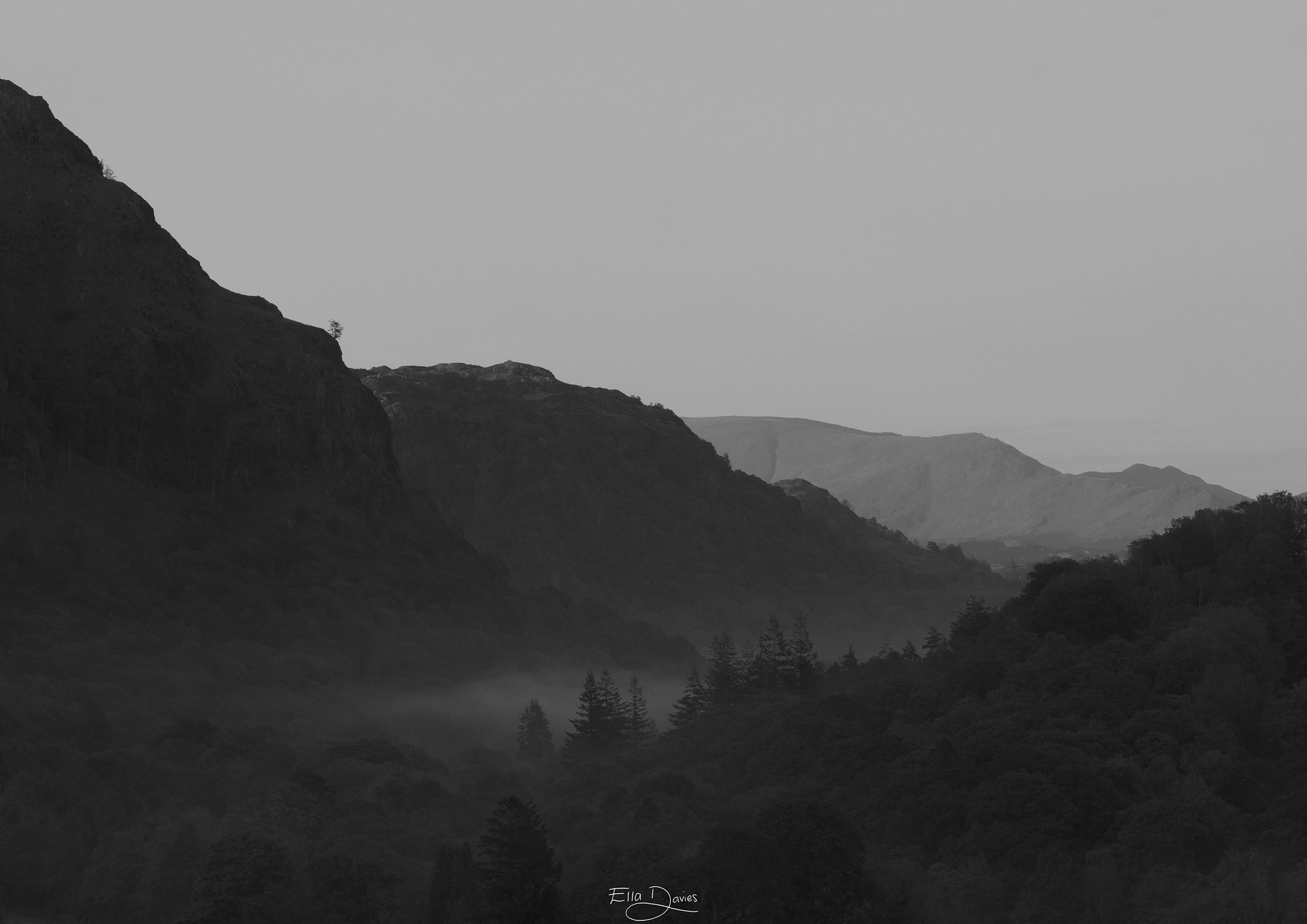 Whisper in the Mist