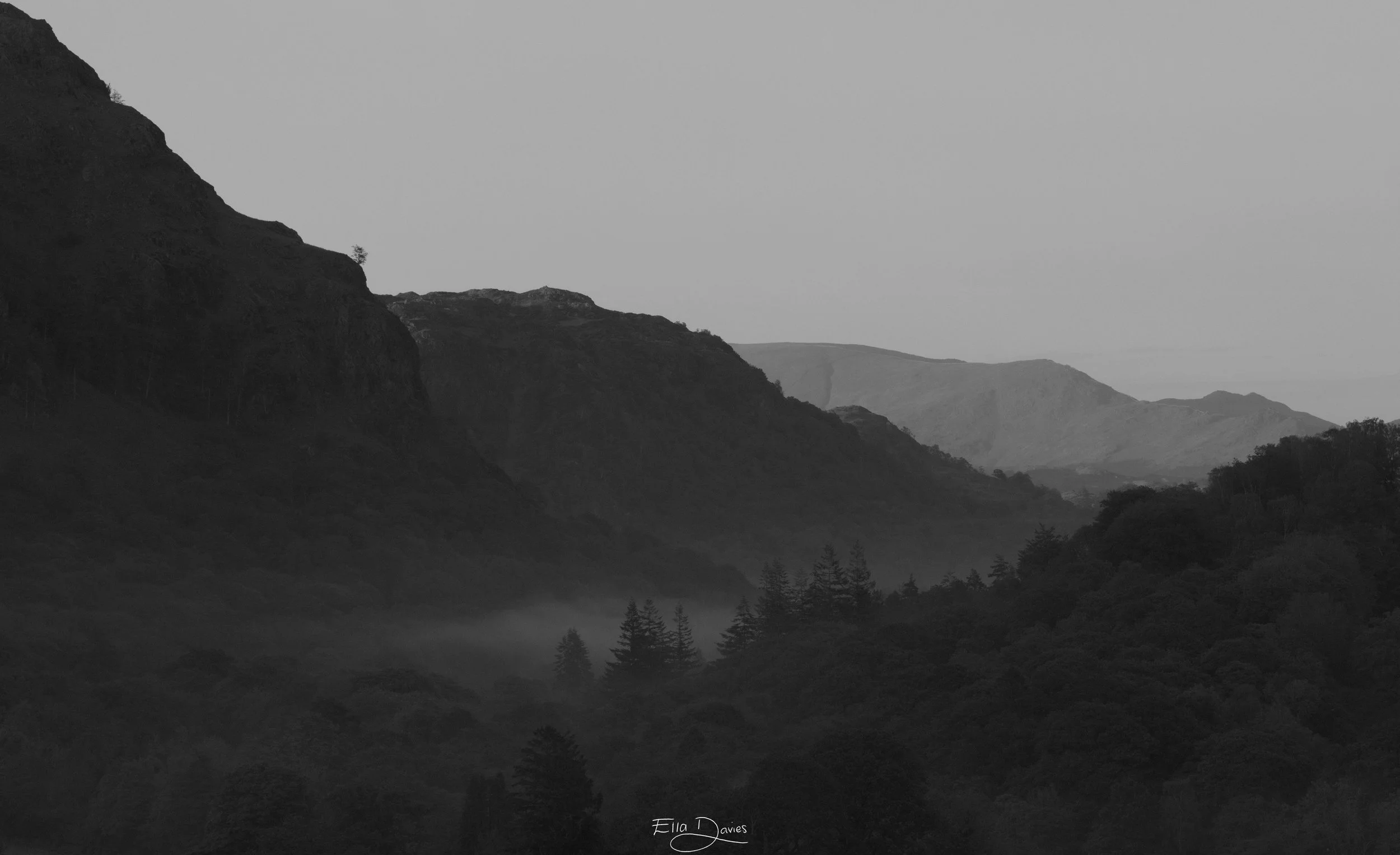 In black and white, three mountains lay along the background, one behind the other. In the foreground stands thousands of bushy trees and tall Pine trees, that mist runs through the top of.