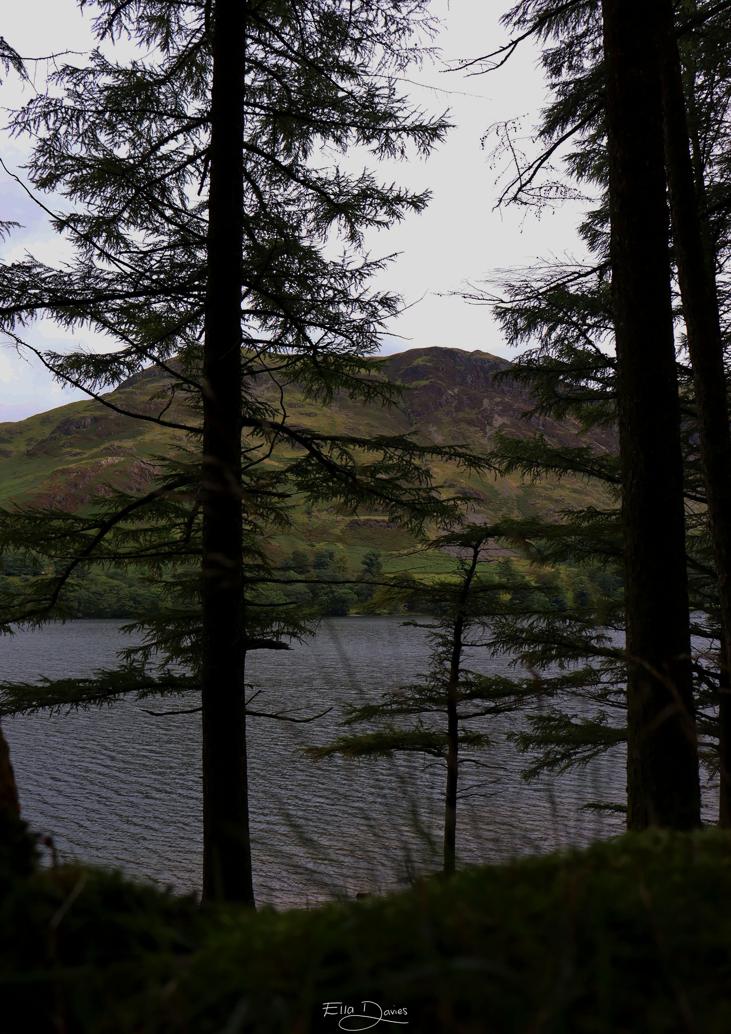 The Lonely Mountain A4.jpg