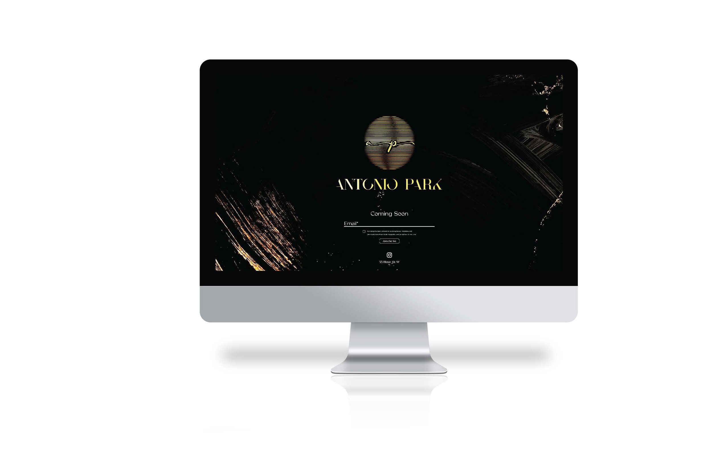 AP_Brand_6_Page_19.jpg