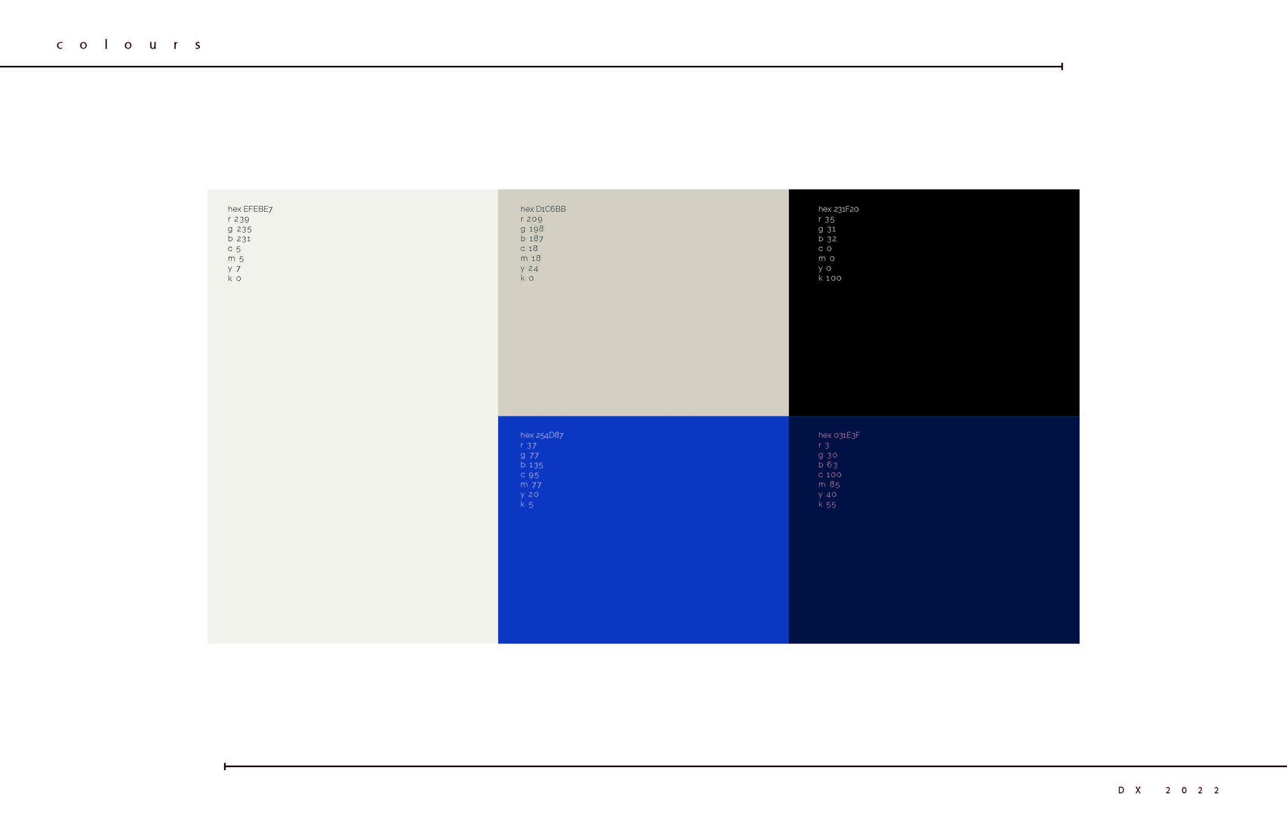 DX Presentation V5_Page_04.jpg