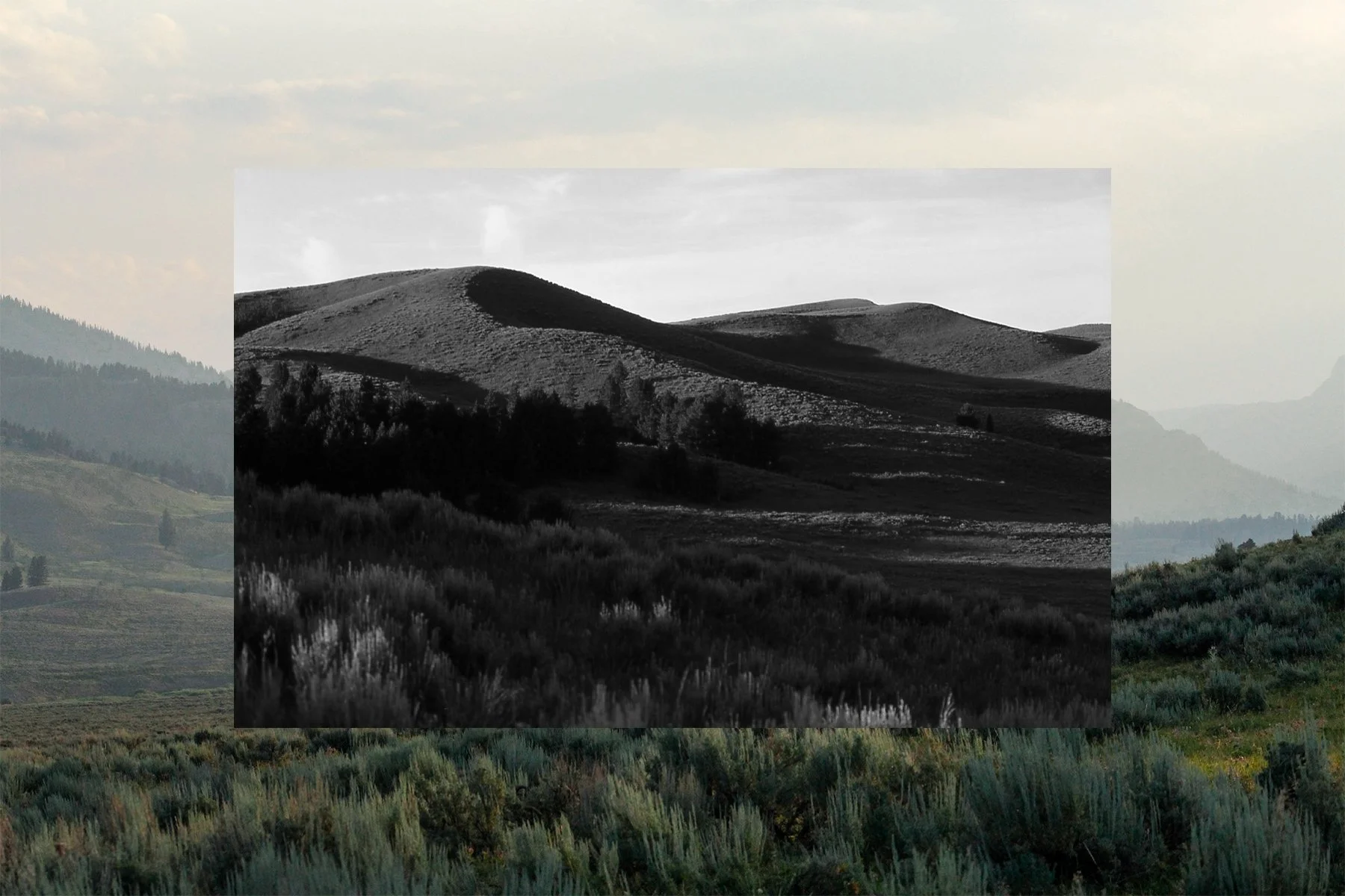 lamar valley postcard.jpg