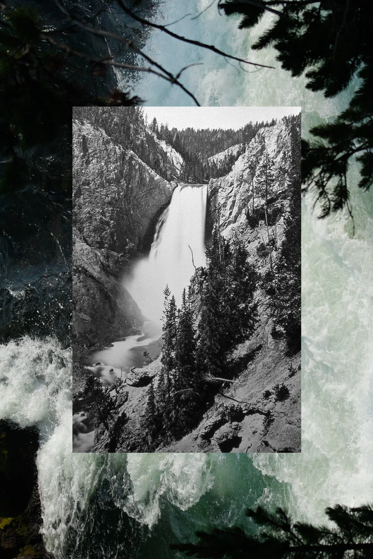 YS grand canyon postcard.jpg