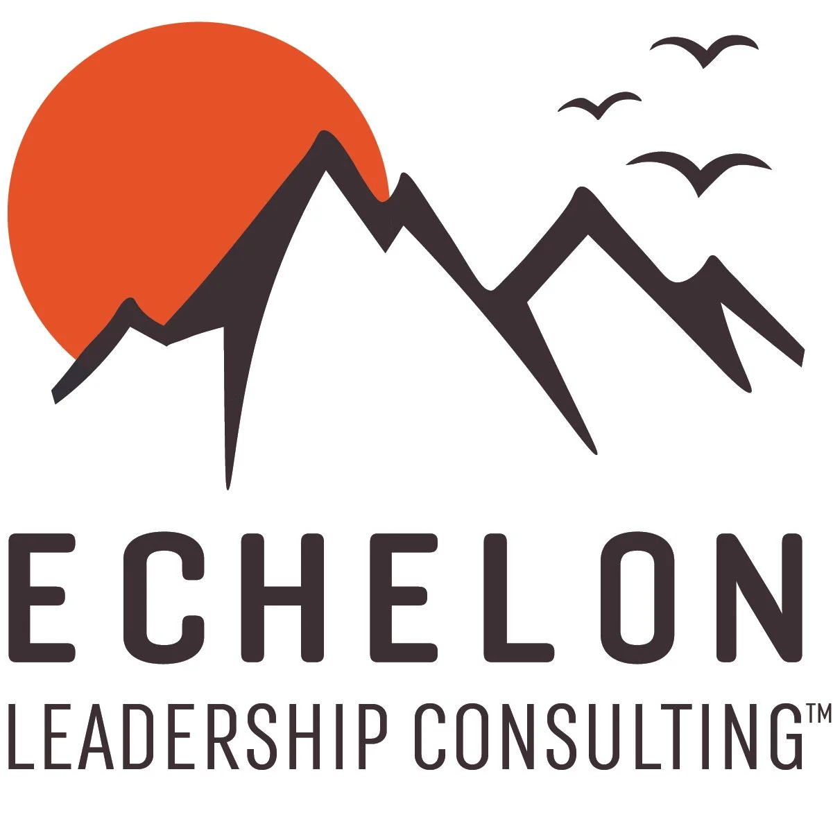 Echelon Leadership Consulting, LLC