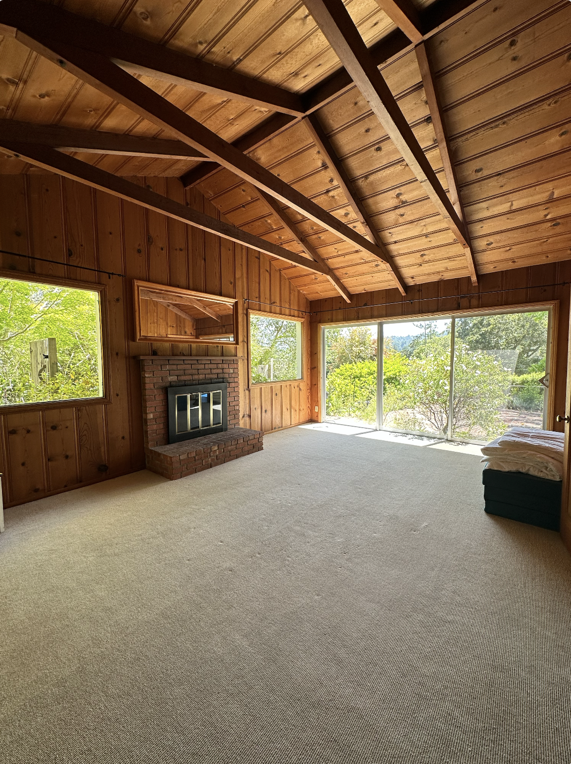 Empty living room with wood-paneled walls and ceiling, brick fireplace, large sliding glass door, and two windows showing greenery outside. The room has beige carpet and a small pile of folded blankets or pillows on a chair in the corner.