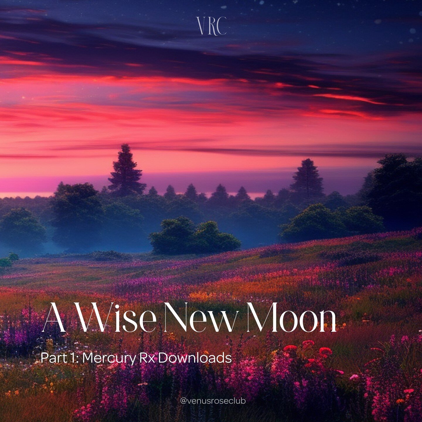 🌑 A Wise New Moon - Part 1

This is a long one! So grab something tasty, maybe even your journal, and spend some time with the insights from Mercury's Retrograde in Taurus.

I believe this is beautiful prep for the upcoming abundance New Moon in Tau