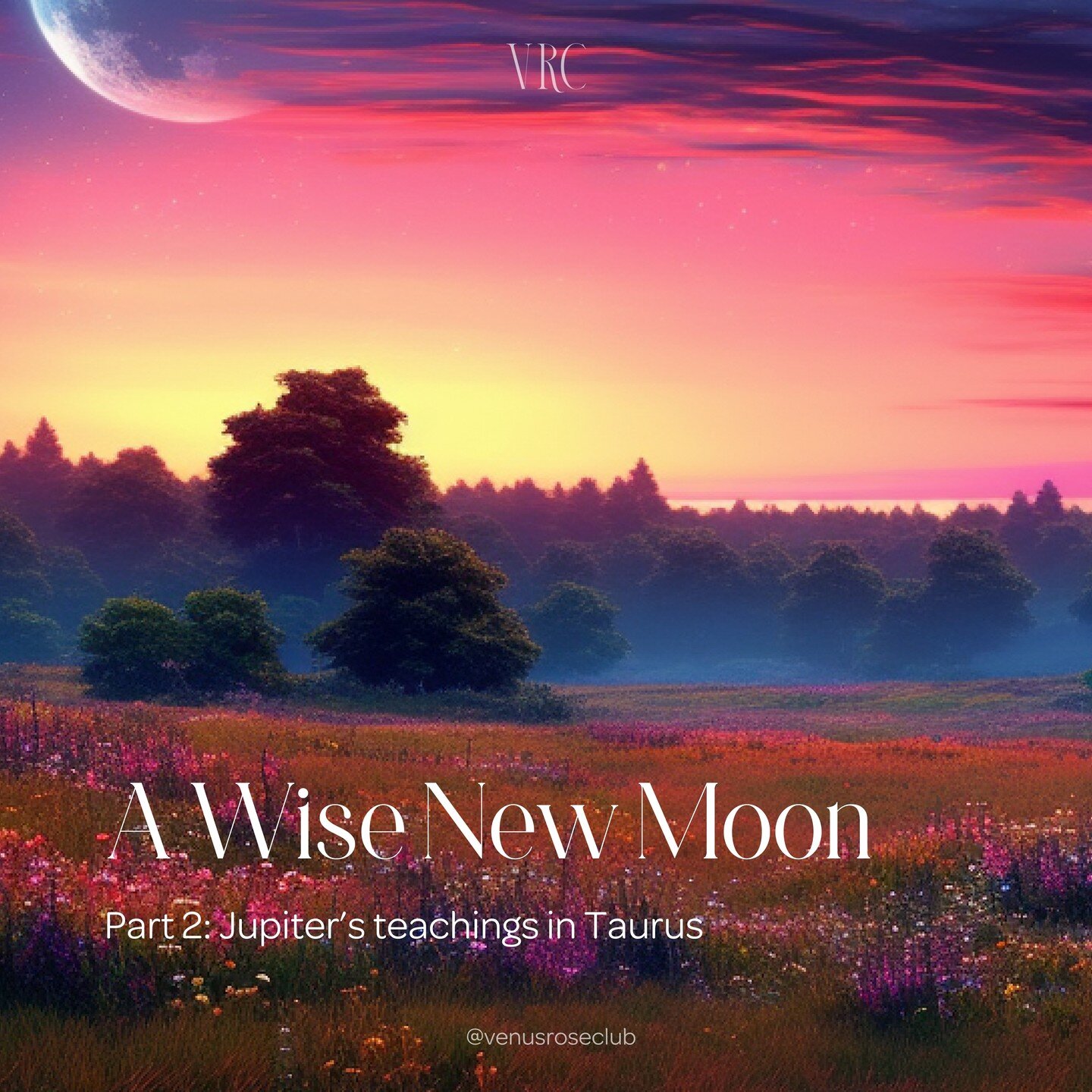 🌑 A Wise New Moon - Part 2

Another long one - this 3-part series is being woven into a New Moon pack for VRCs members, so it's pretty hefty.

This time we're hanging our with hierophant and high-viber Jupiter.

💫 My hope is that you'll read or rec