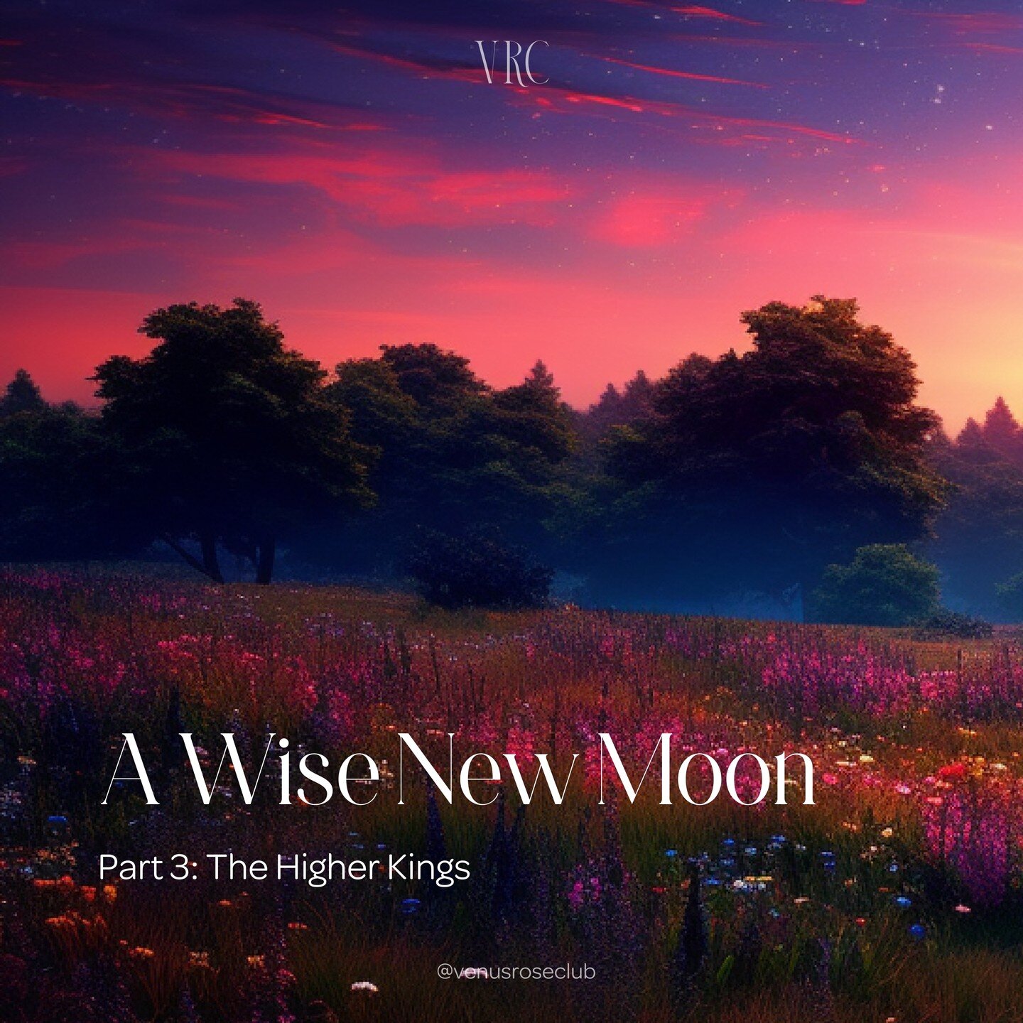🌑 A Wise New Moon - Part 3

The final chapter! Whoooshppffff (that's me letting out a big big breath).

🔥 This part focuses on the big Jupiter-Pluto square (happening rn) which is energised by Mars as the fire-planet enters the fire-sign Leo this w