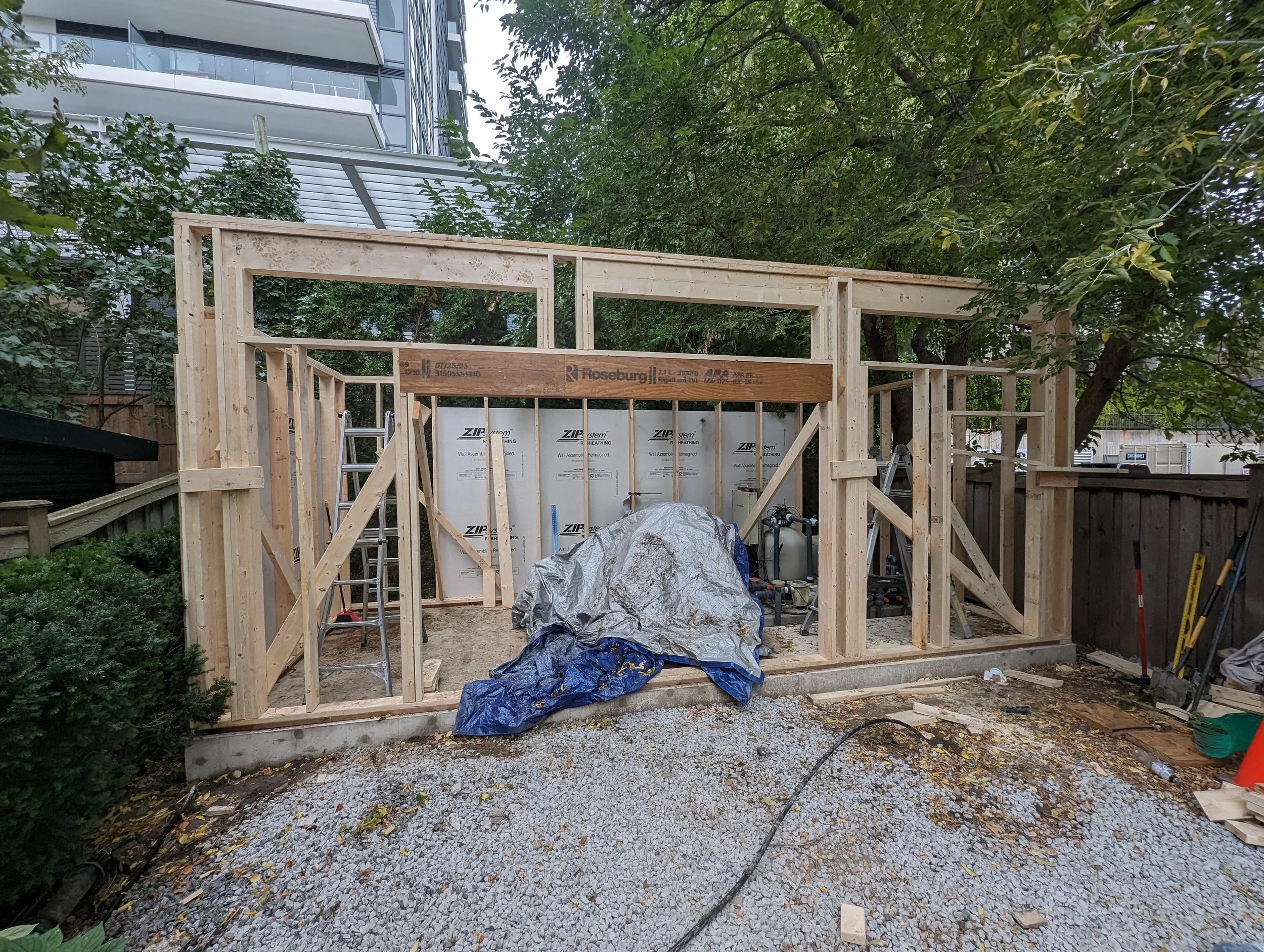 PXL_20231010_201457808.jpg
