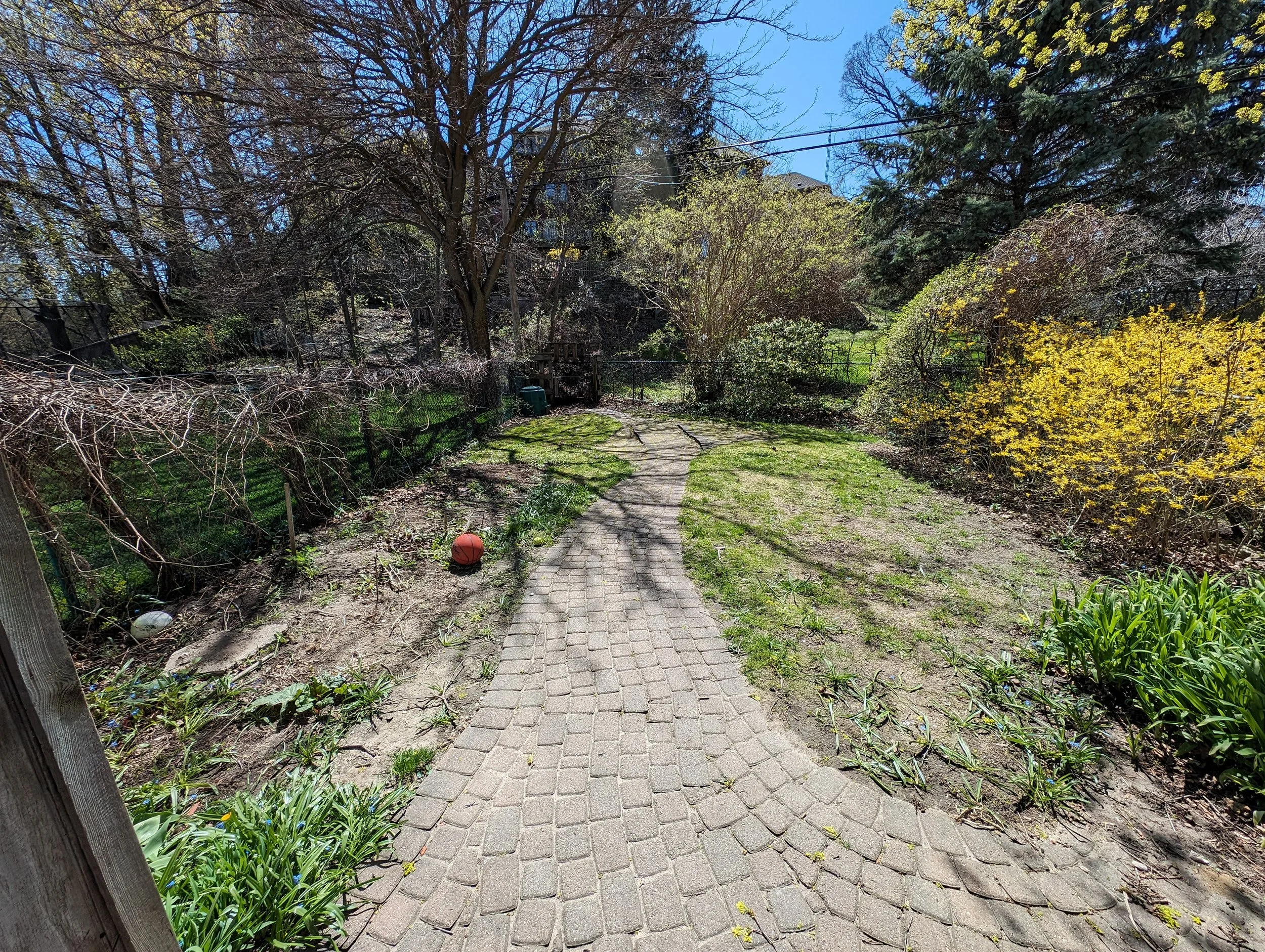 PXL_20240425_183316587.jpg