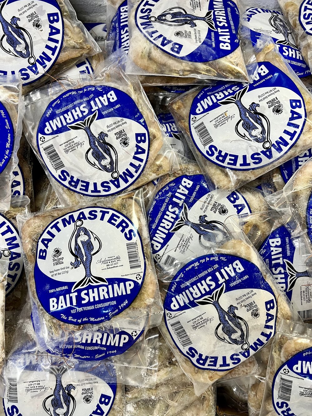 Shrimp — St. Simons Bait and Tackle