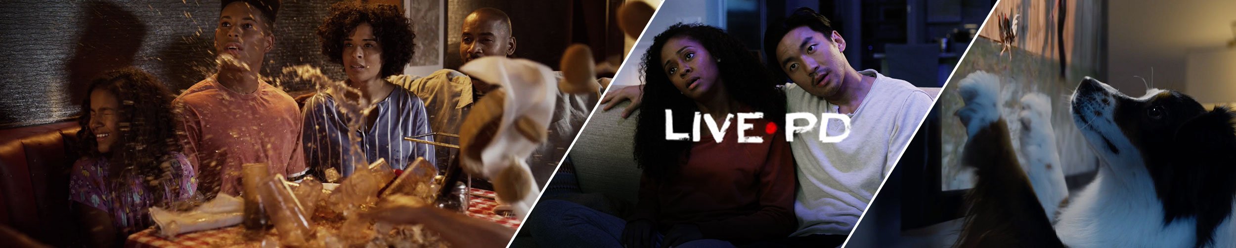 LIVE PD