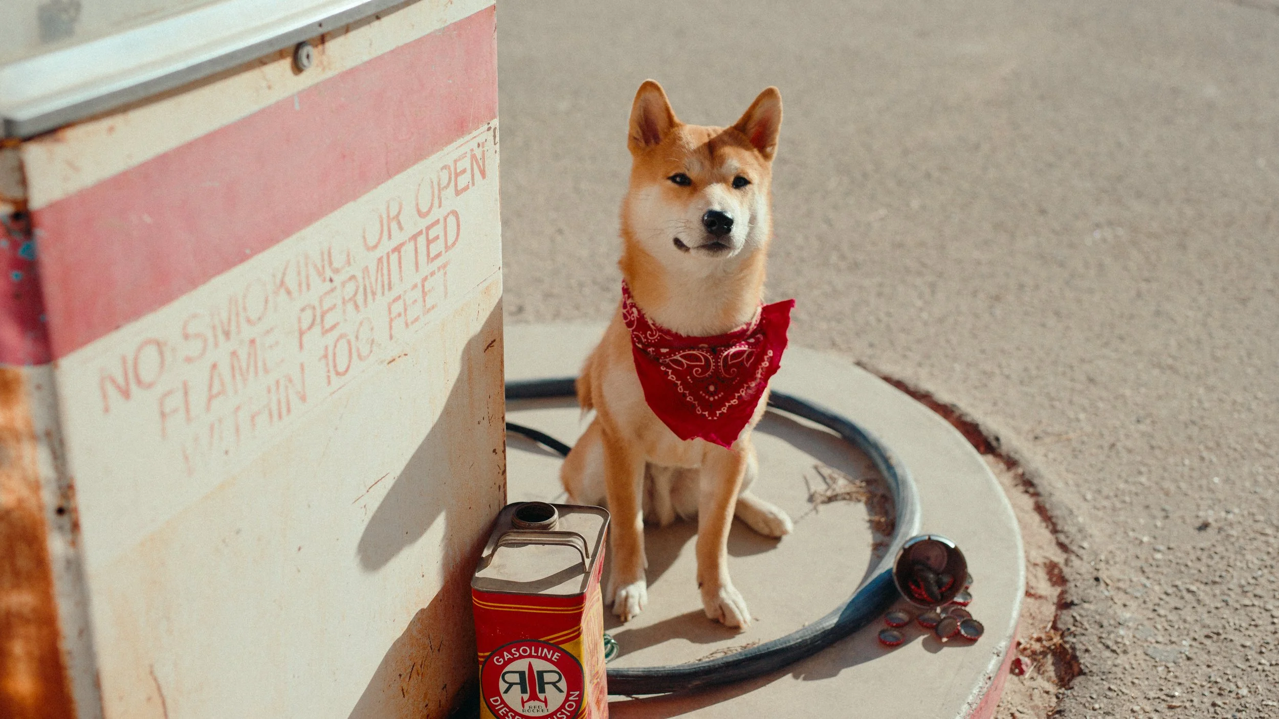 Fallout_AnniversaryA002_A005_1009JT.0001540.jpg