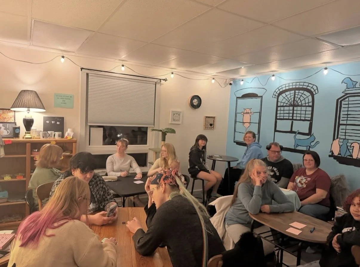 Are You Smarter Than A Crazy Cat Lady Trivia Night