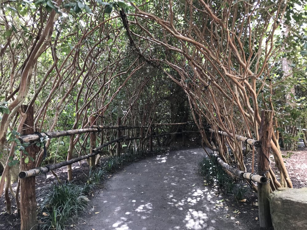Walking in this tunnel was peaceful and exciting especially what I saw on the other side!