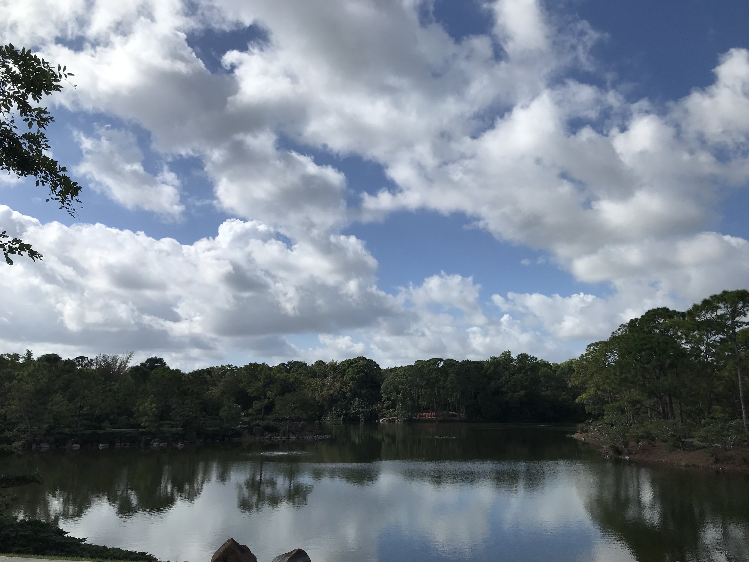 Look how the water reflects the sky!
