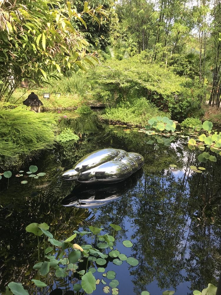 A still pond with!