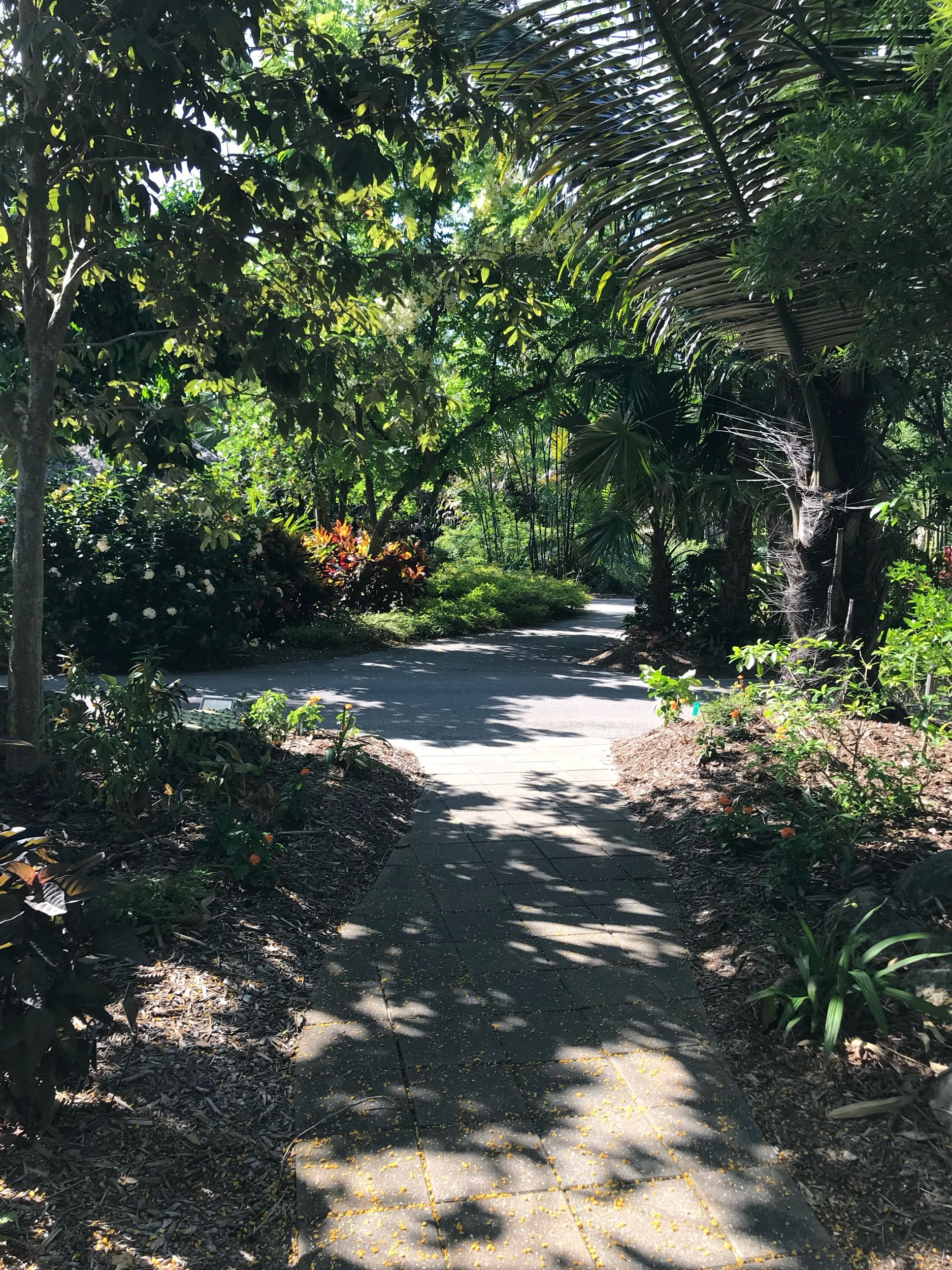 The sun lighting the path before you!