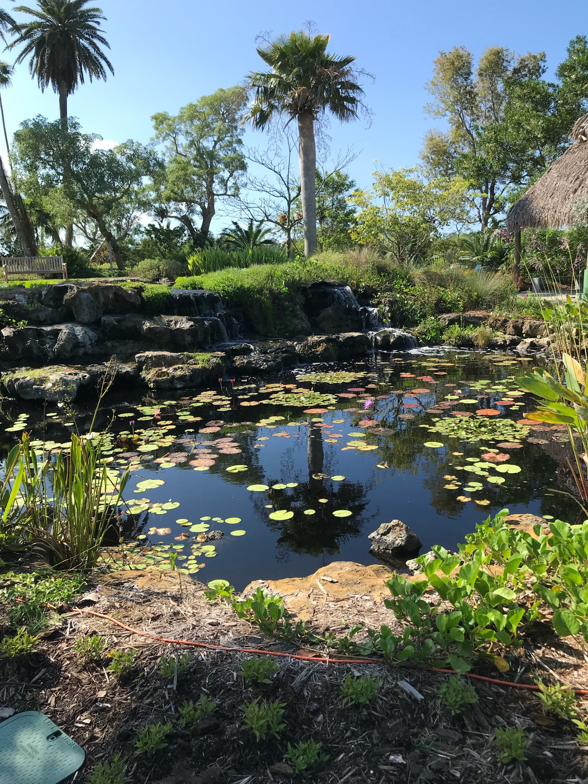 Peaceful spot to sit and listen to birds!
