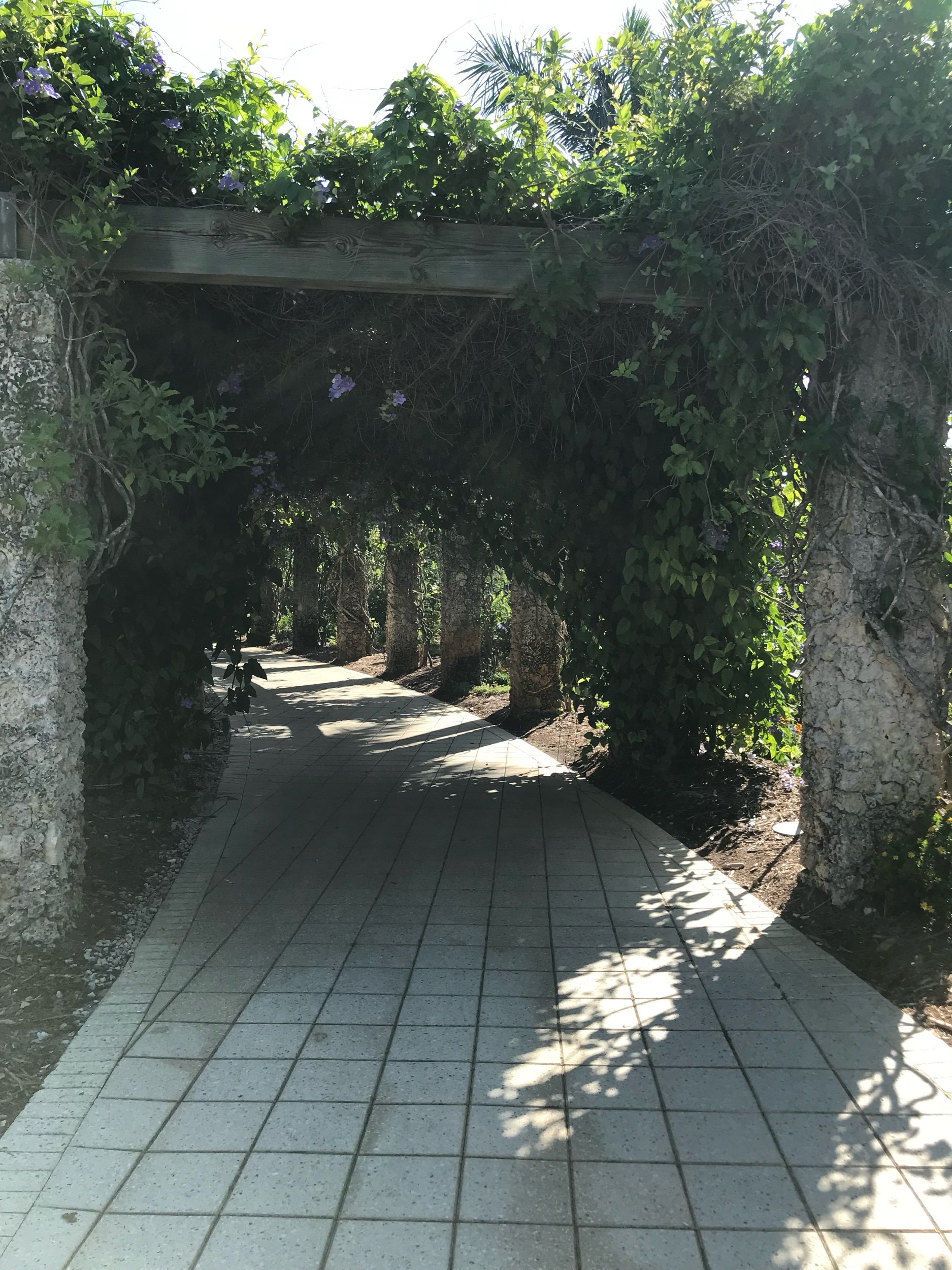 Take a guest what is on the other side of this!