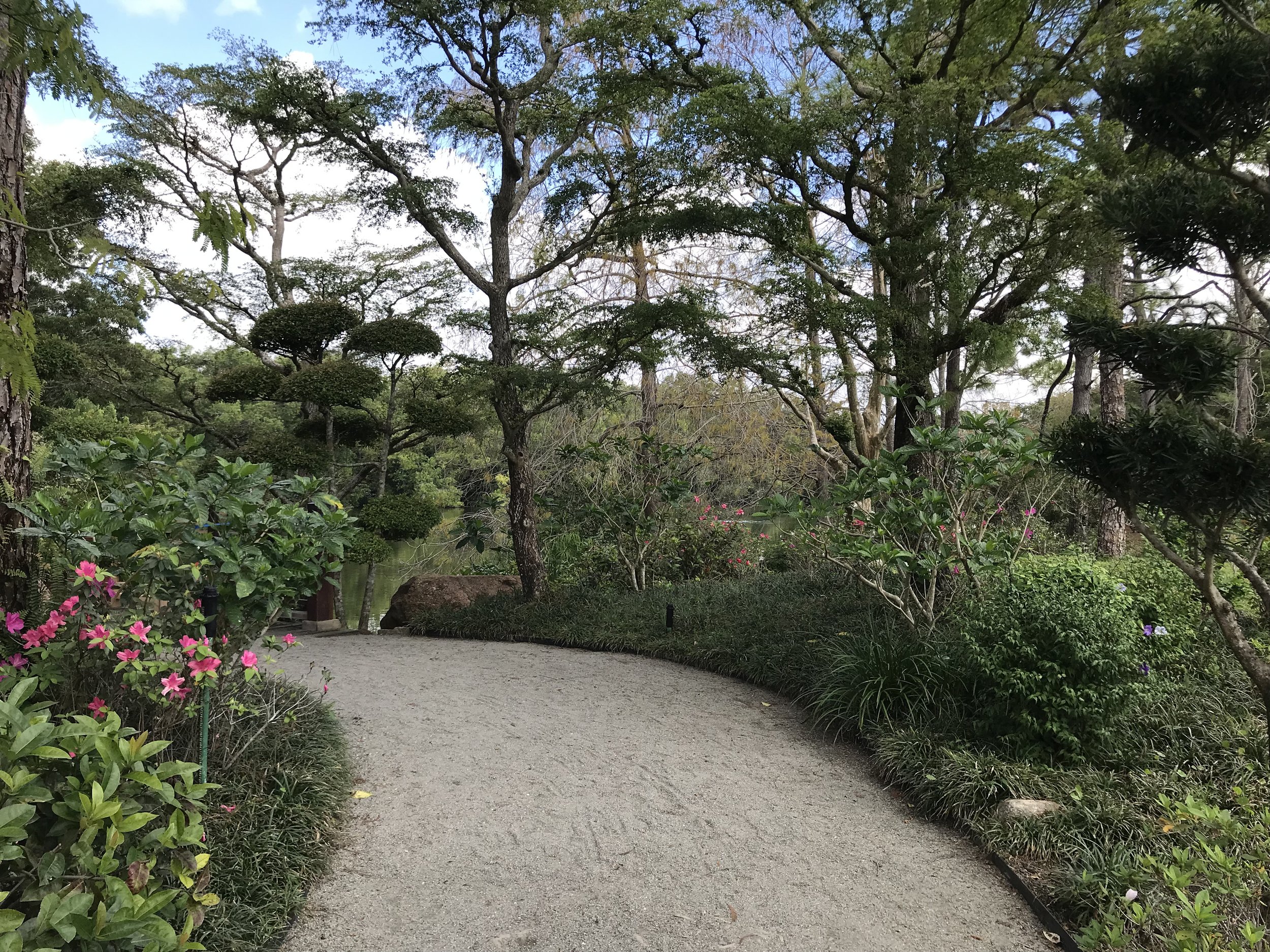 This path lead to the most well-trimmed and beautiful trees!