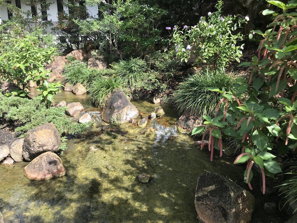 The water flowed and the sound was soothing!