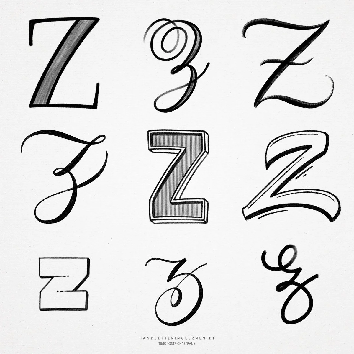 Fun Words Starting With ‘Z’