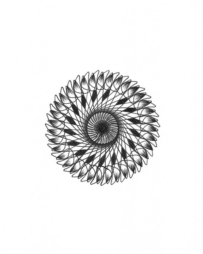 Spiral sunflower
