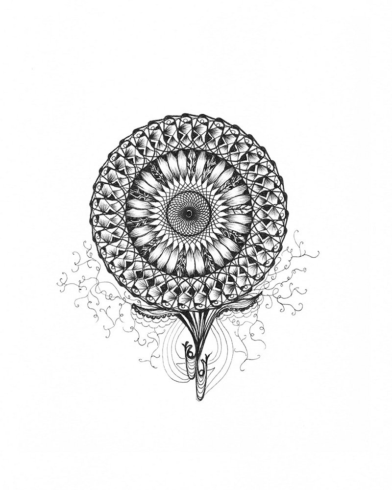 Spiral pop