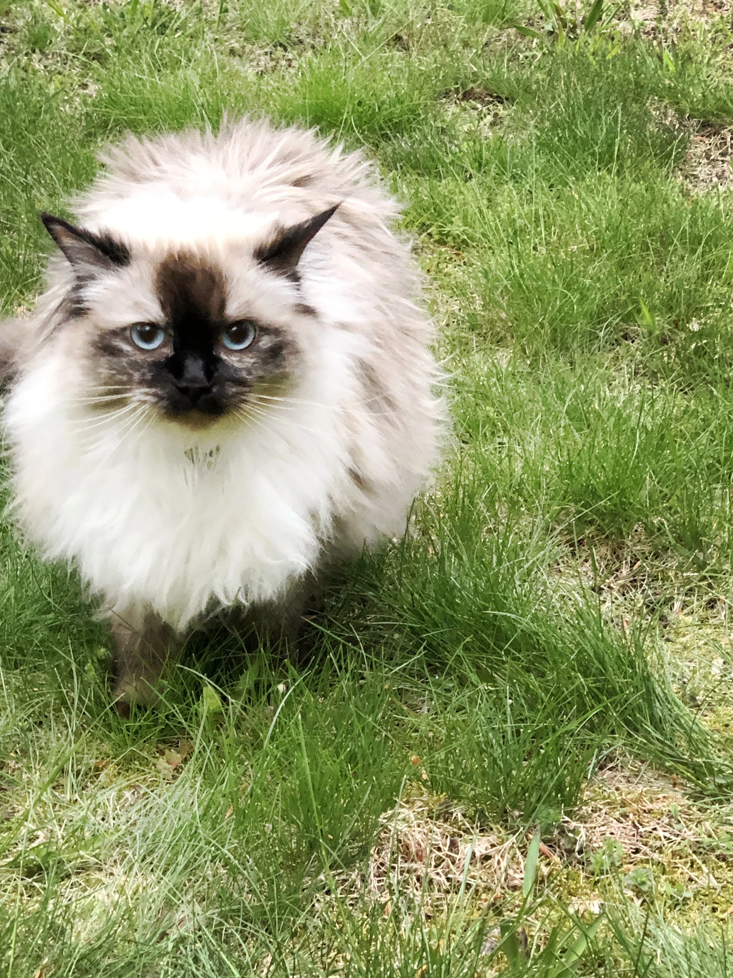 2019-05-06 17.32.44.jpg